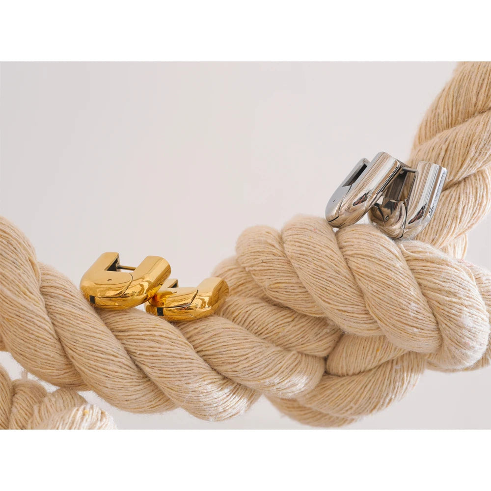 Bold Arc Earrings