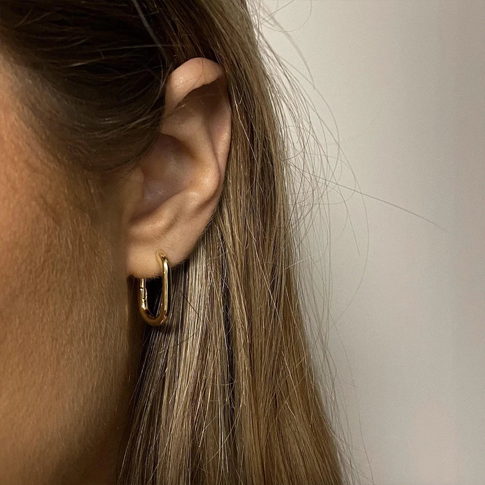Urban Curve Mini Hoops